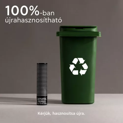 APIVITA Ajakápoló stift propolisszal 4,4g