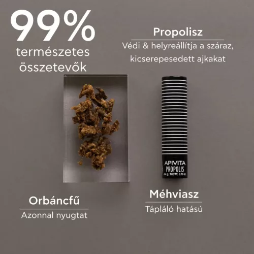 APIVITA Ajakápoló stift propolisszal 4,4g