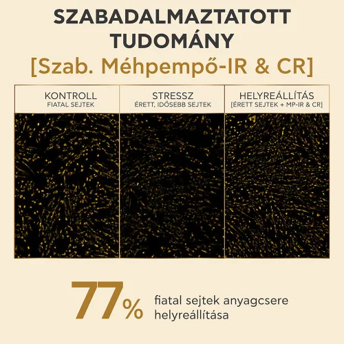 APIVITA QUEEN BEE Longevity Ránctalanító arckrém r 50ml