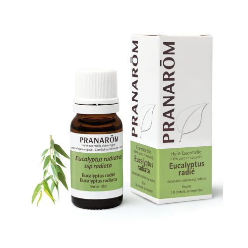 PRANAROM Eucaliptusz radiata illóolaj (10ml)
